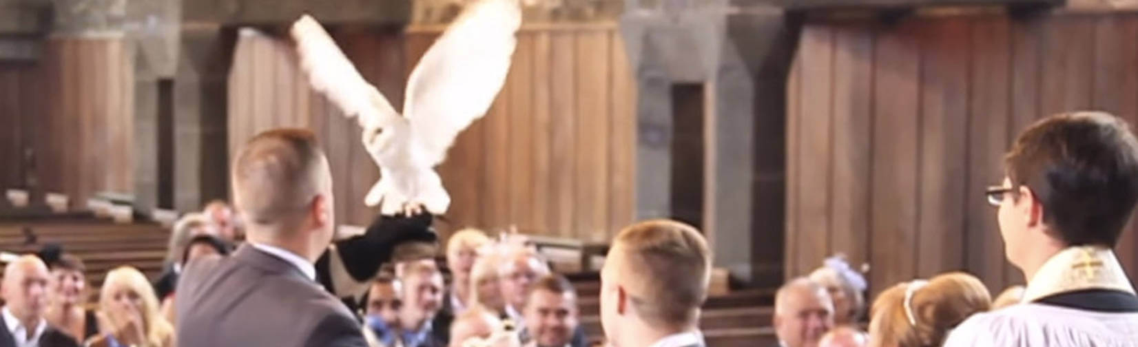 This is not just ANY Owl Ring Bearer