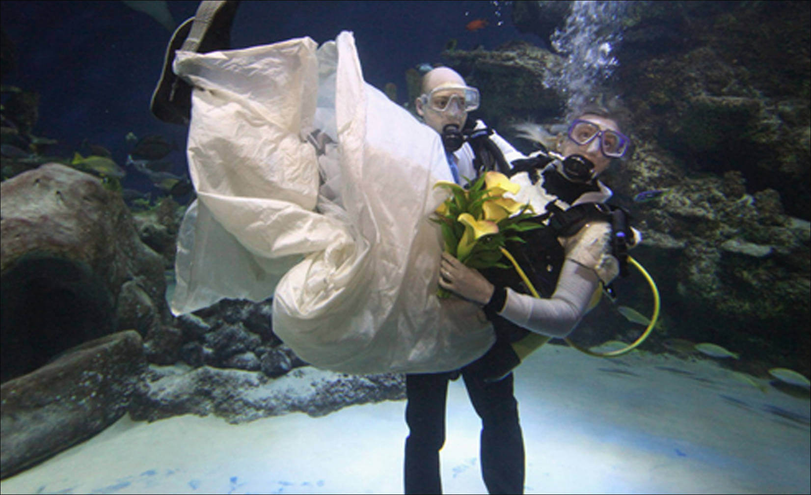 underwater marriage ceremony