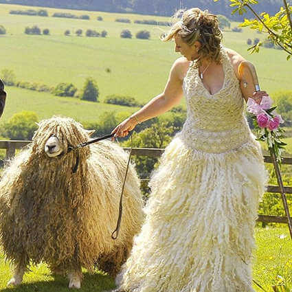Wooly Wedding