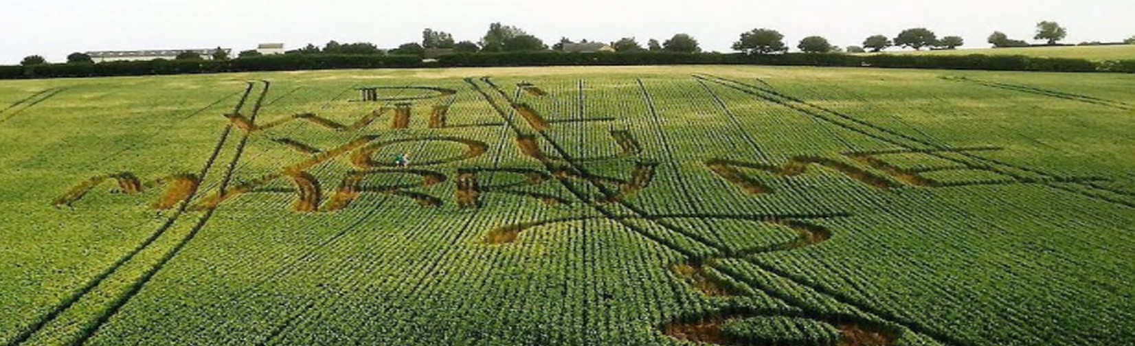 A charmer farmer from popped the question to his Northamptonshire girlfriend